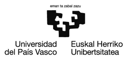 EHU/UPV ERREKTORETZA